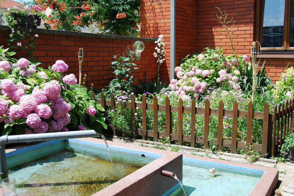 Villa Milka Ohrid Bagian luar foto